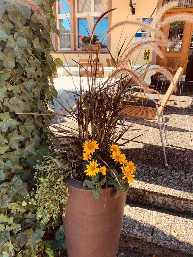Hotel Roessli Allschwil Buitenkant foto